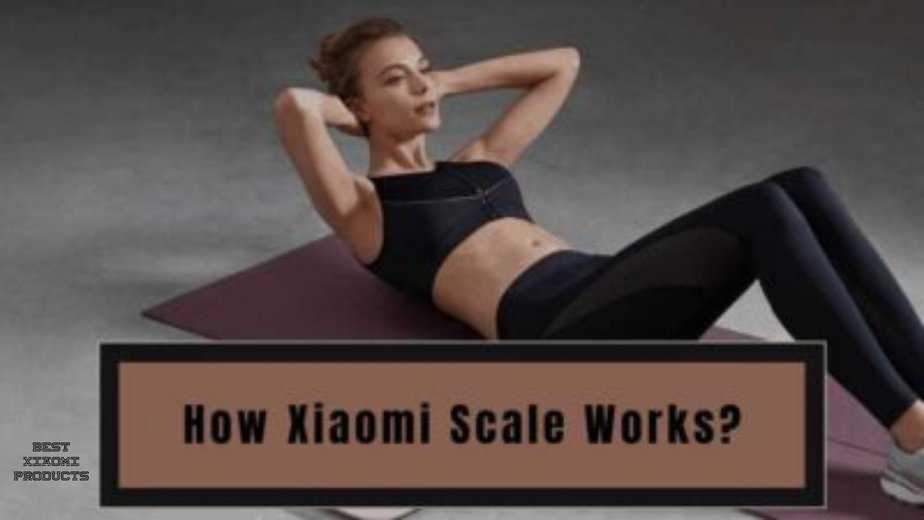 How Xiaomi Scale Works