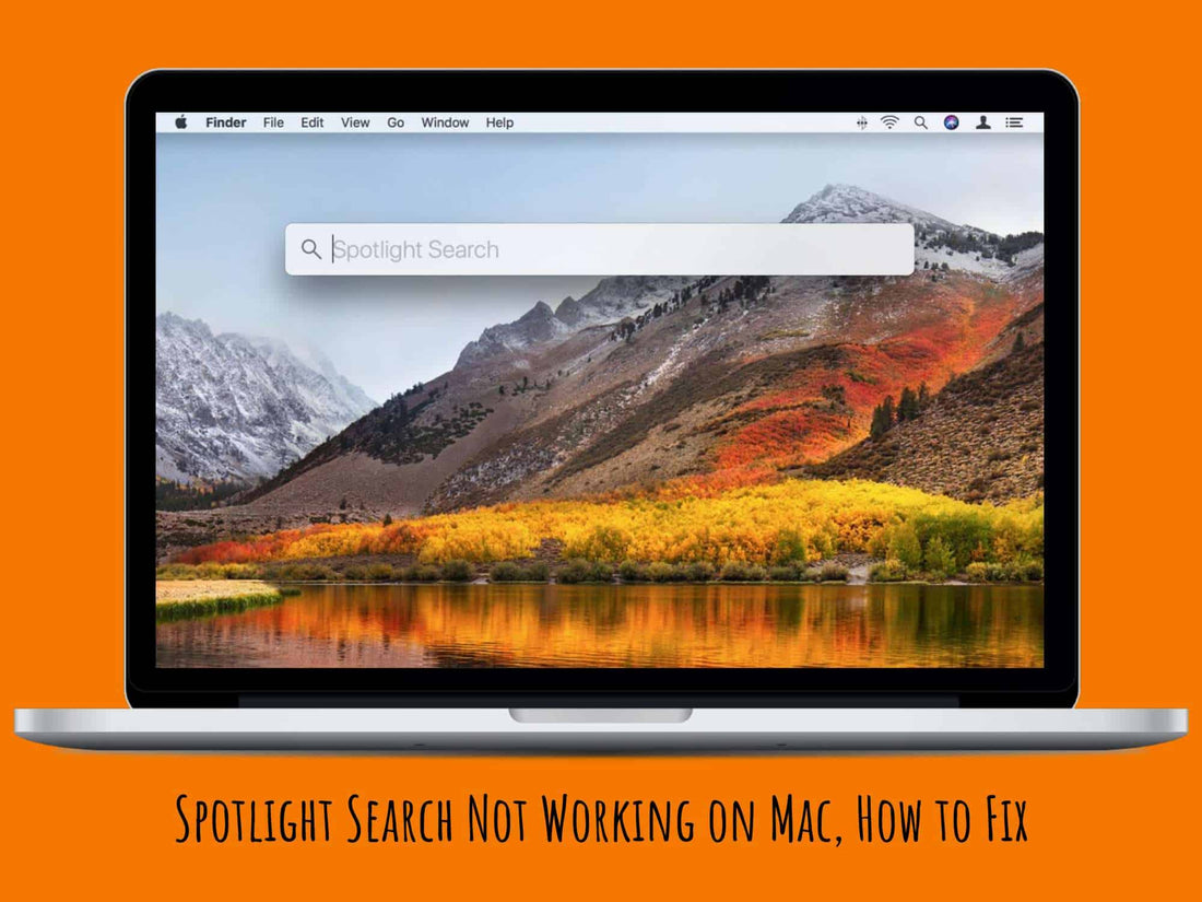 Spotlight Search Not Working on Mac, How to Fix