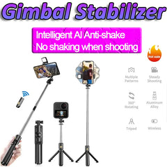 Selfie Stick with Stabilizer & Light